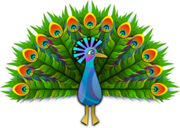 Peacock