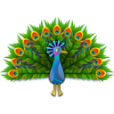 download Peacock clipart image with 0 hue color