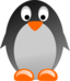 Pinguino Penguin