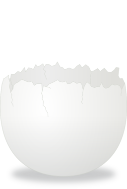 Cracked Egg