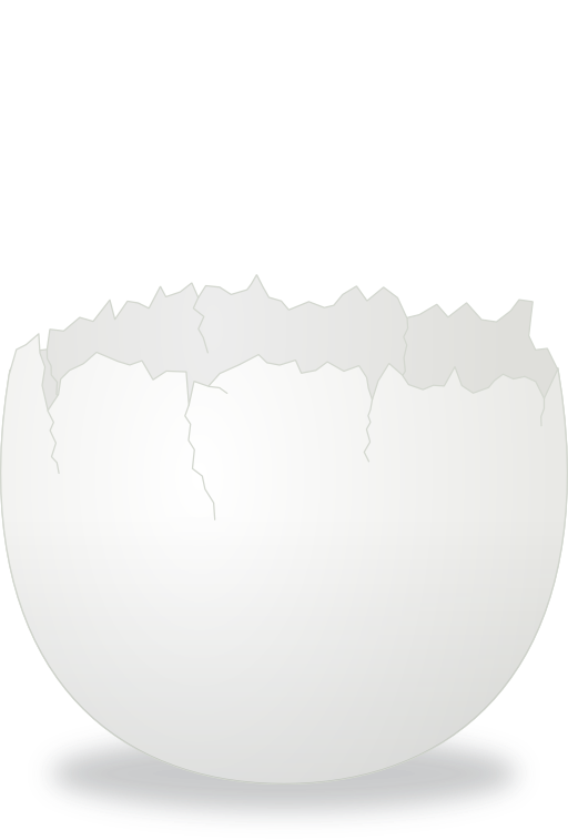 Cracked Egg