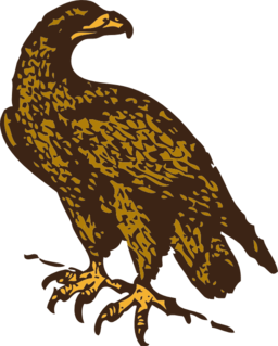 Golden Eagle