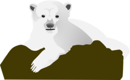 Knut The Polar Bear