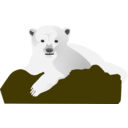 Knut The Polar Bear