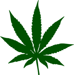 Cannabis