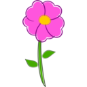 Flower Flor