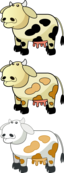 Colour Cows