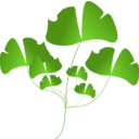 download Leaf clipart image with 315 hue color