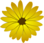 Flower1 Juliane Krug 01
