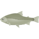 download Fish clipart image with 45 hue color