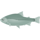 download Fish clipart image with 135 hue color