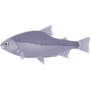 download Fish clipart image with 225 hue color