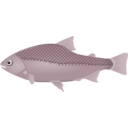 download Fish clipart image with 315 hue color