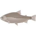 download Fish clipart image with 0 hue color