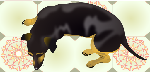 Renato Dog
