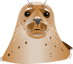 Seal Brown