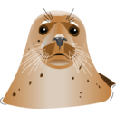 Seal Brown