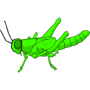 download Locust clipart image with 45 hue color