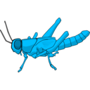 download Locust clipart image with 135 hue color