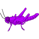 download Locust clipart image with 225 hue color
