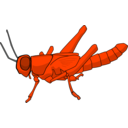 download Locust clipart image with 315 hue color