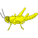 download Locust clipart image with 0 hue color