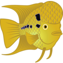 download Flowerhorn Fish 2 clipart image with 45 hue color