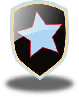 Sheild Icon