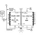 Direct Methanol Alkaline Fuel Cell Anion Exchange Membrane