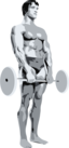 Posing Bodybuilder