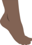 Foot