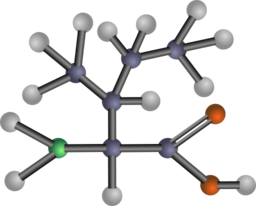 Isoleucine Amino Acid