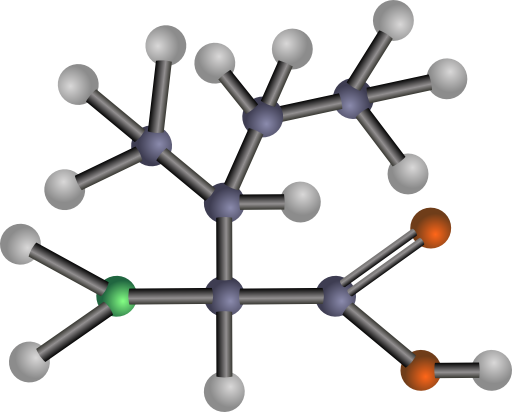 Isoleucine Amino Acid