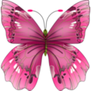 download Butterfly clipart image with 45 hue color