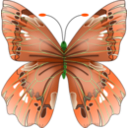 download Butterfly clipart image with 90 hue color