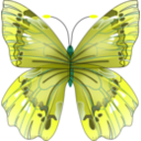 download Butterfly clipart image with 135 hue color