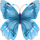 download Butterfly clipart image with 270 hue color