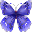 download Butterfly clipart image with 315 hue color