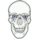 download Digitalized Human Skull clipart image with 45 hue color