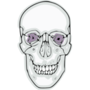 download Digitalized Human Skull clipart image with 90 hue color