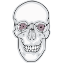 download Digitalized Human Skull clipart image with 135 hue color