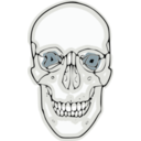 download Digitalized Human Skull clipart image with 0 hue color