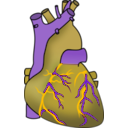 download Human Heart clipart image with 45 hue color