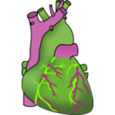 download Human Heart clipart image with 90 hue color