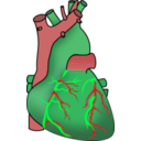 download Human Heart clipart image with 135 hue color