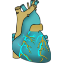 download Human Heart clipart image with 180 hue color