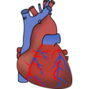 download Human Heart clipart image with 0 hue color