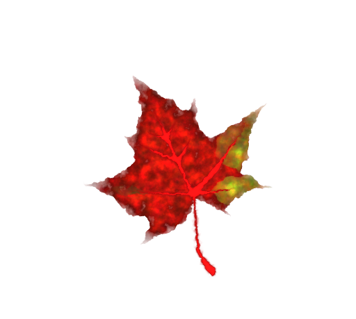 Fall Leaf