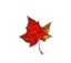 Fall Leaf
