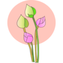 download Lotus clipart image with 315 hue color